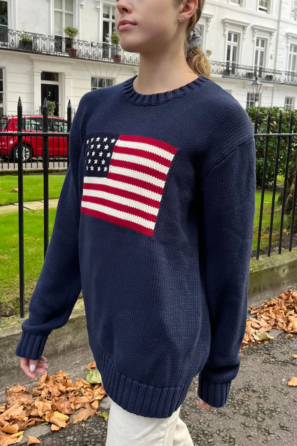 Nico American Flag Sweater