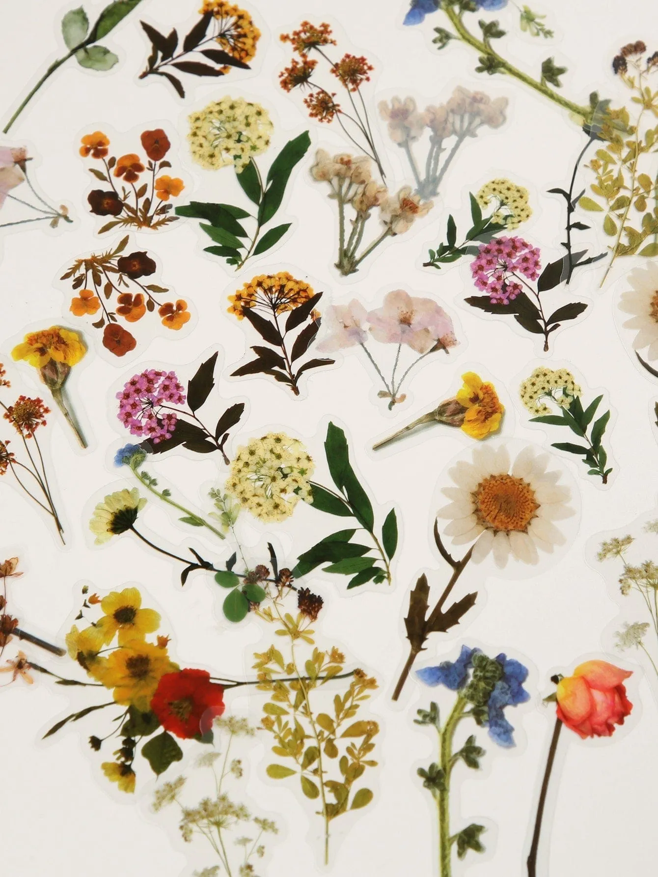 Vintage Floral Stickers