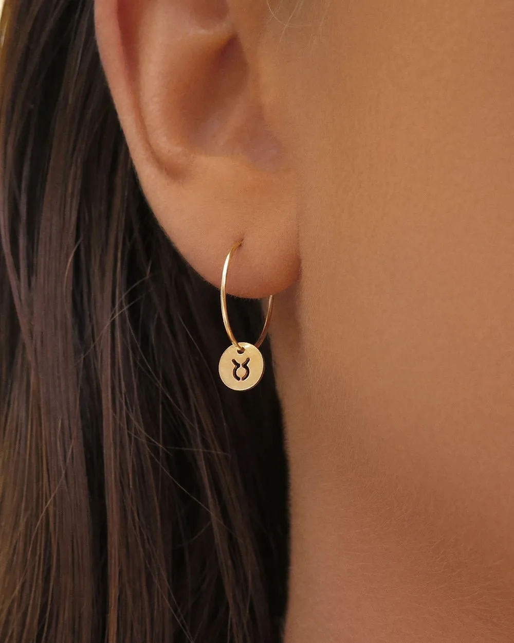 Zodiac Hoop Earrings