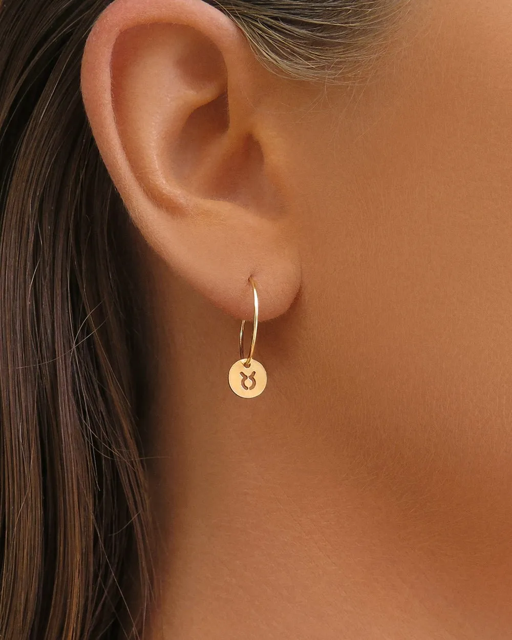 Zodiac Hoop Earrings