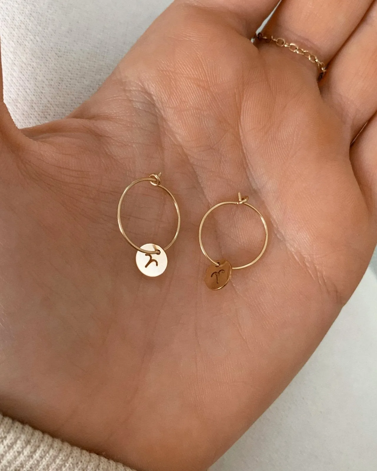 Zodiac Hoop Earrings